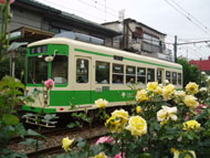 ���イ����̔o��� ��41�b