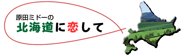 ���c�~�h�[�̖k�C���ɗ�����